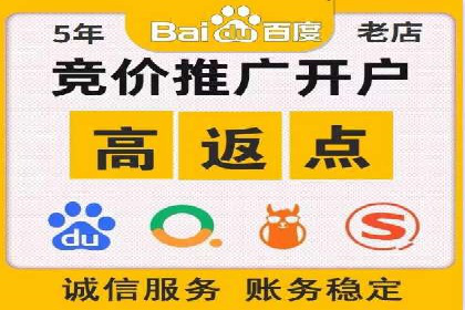 百度竞价与搜索引擎优化（SEO）的协同效应案例